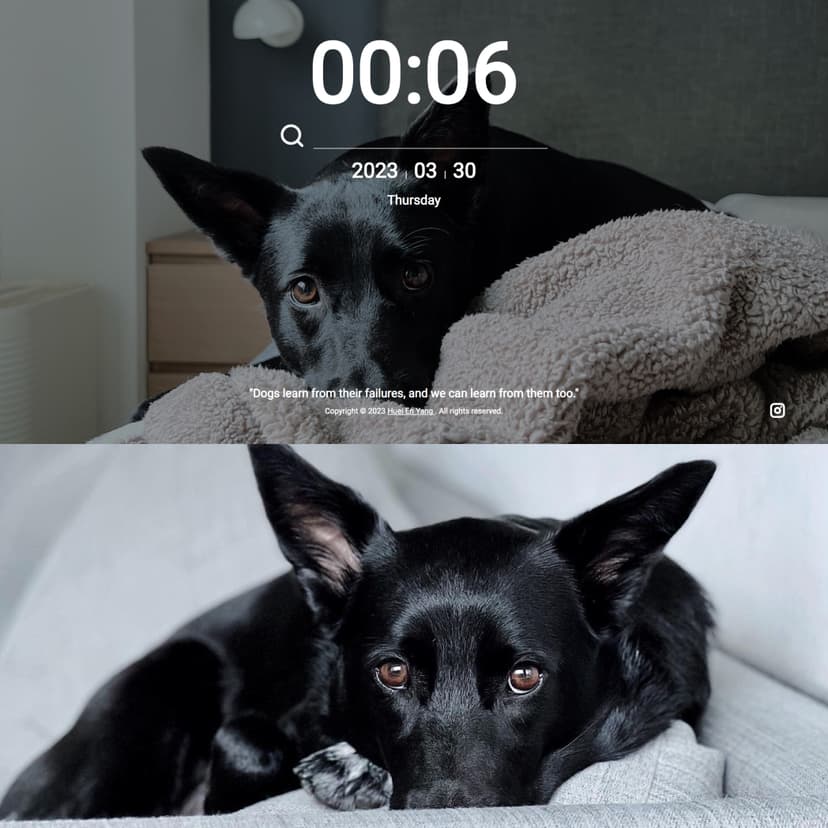 Google Browser Plugin for Doggy Oreo