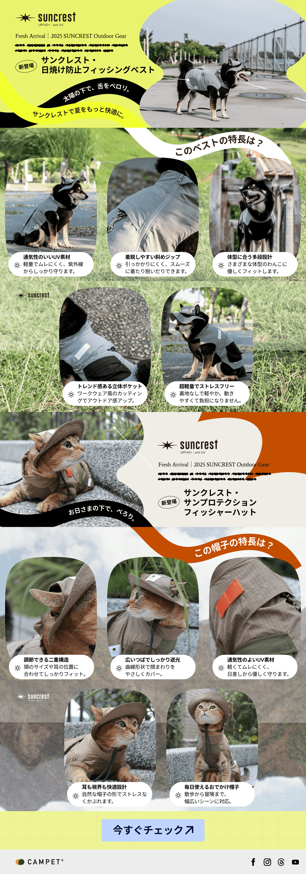 SUNCREST EDM - Japan Market